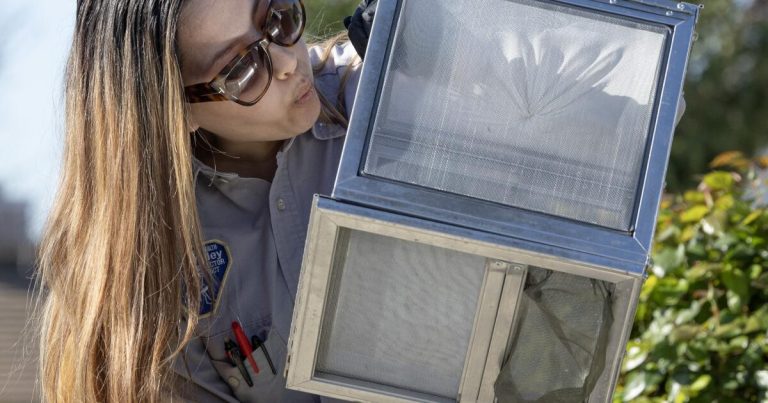 Why are Southern California officials releasing more mosquitoes?