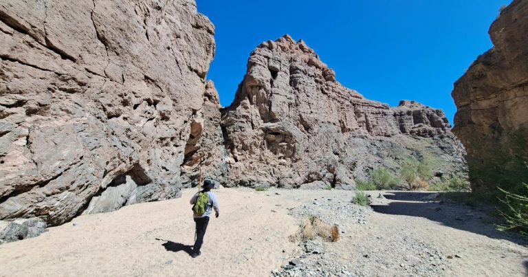 A new national monument would protect a swath of California’s desert