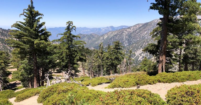 No foul play is suspected in death of hiker Julia Li, 21