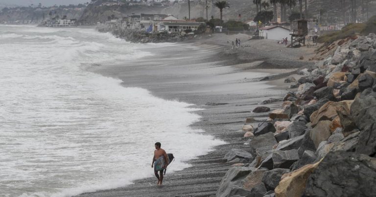 ‘Aggressive shark behavior’ closes ocean access in San Clemente