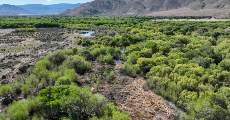 A scientist aims to save habitats that rely on groundwater