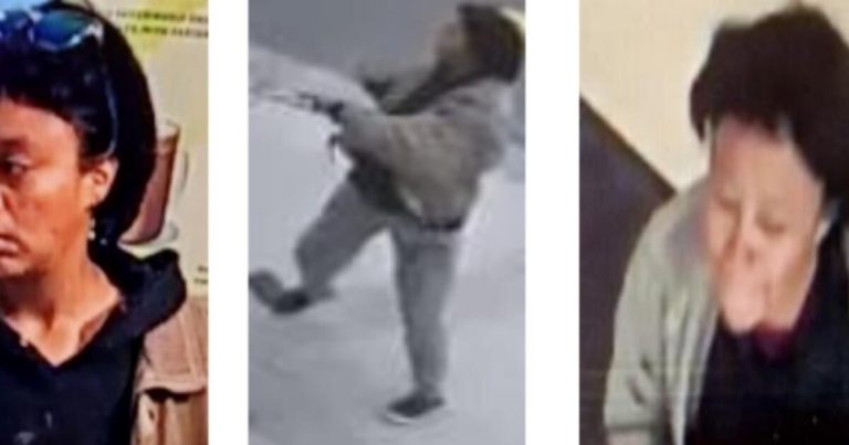 L.A. woman is arrested a second time this year in attempted kidnapping