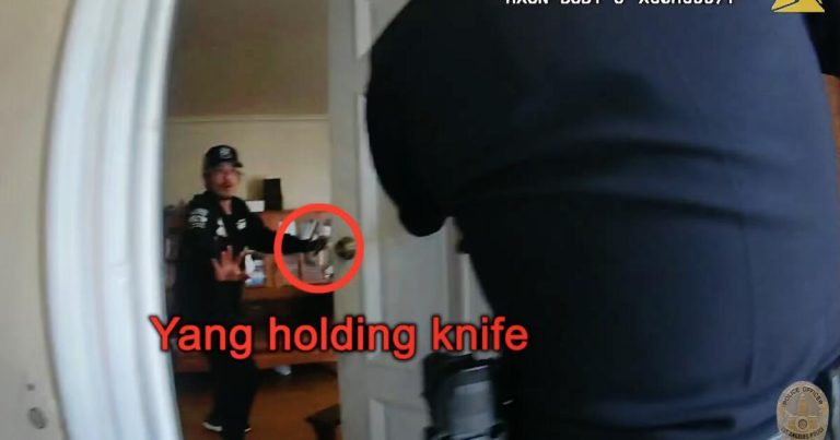 LAPD video shows officers shot mentally ill man in K-town home