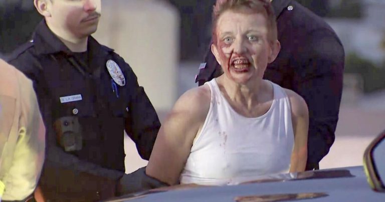 Motorist leads police on violent high-speed chase before crashing
