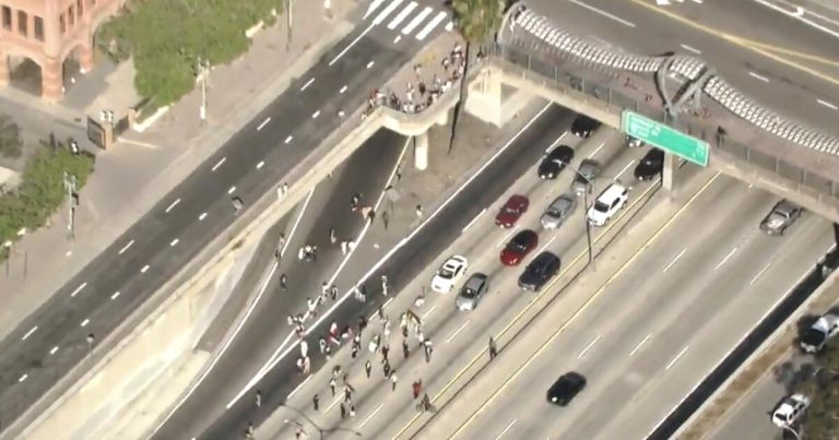 Pro-Palestinian protesters shut down 101 Freeway in downtown L.A.