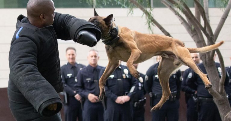 L.A. City Council refuses police dog donation over training firm’s name it shares with Hitler bunker