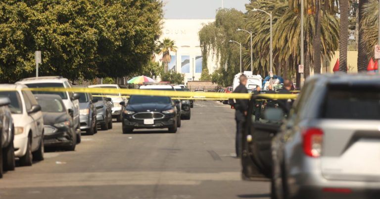 2 brothers killed as they sat in car outside L.A. home; suspect charged