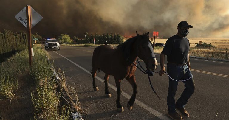 Evacuation orders lifted in 14,000-acre Corral fire