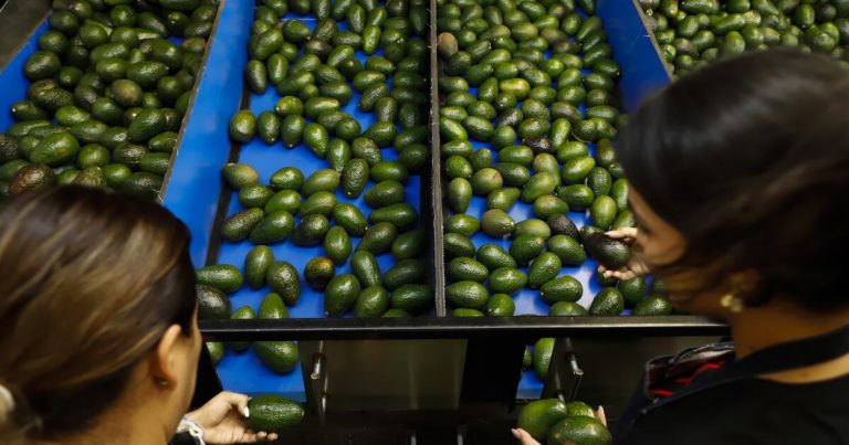 Avocado prices could rise after some USDA inspections halted in Mexico