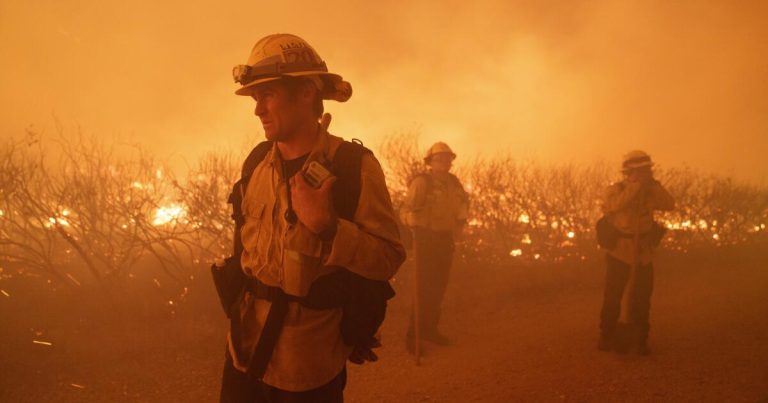 Photos: The first major wildfire of 2024 in Los Angeles County