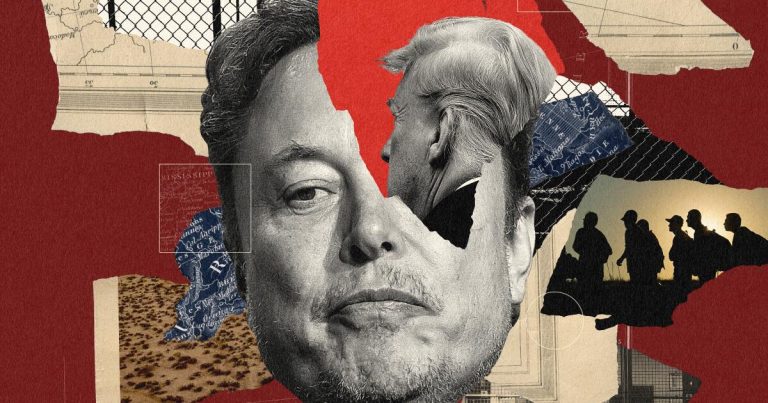 Elon Musk is angry about immigration. Will it shape the 2024 election?