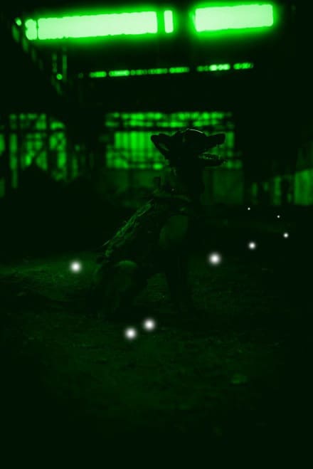 Dark Systems Defense Unveiled its New K9 Lighstick Dropper at Eurosatory 2024