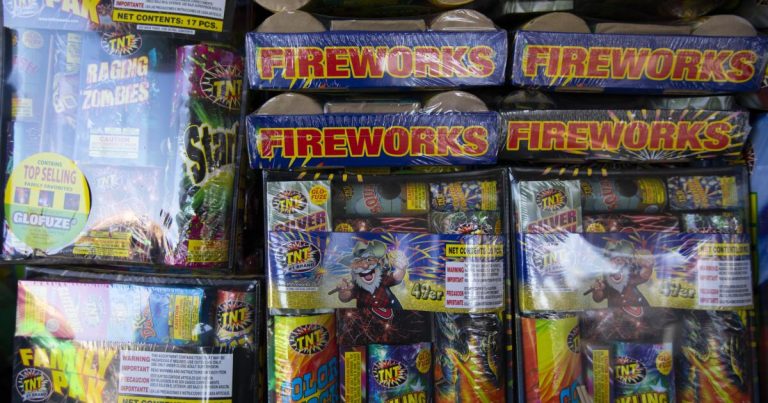 LAPD calls in bomb squad for history-making fireworks bust