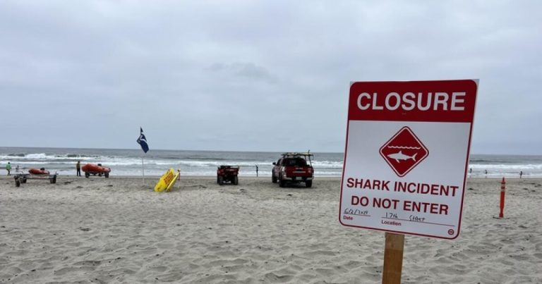 ‘Shark!’ Swimmers race to save bleeding man off California beach