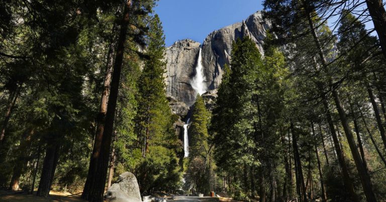Yosemite employee accused of raping co-worker, prosecutors say