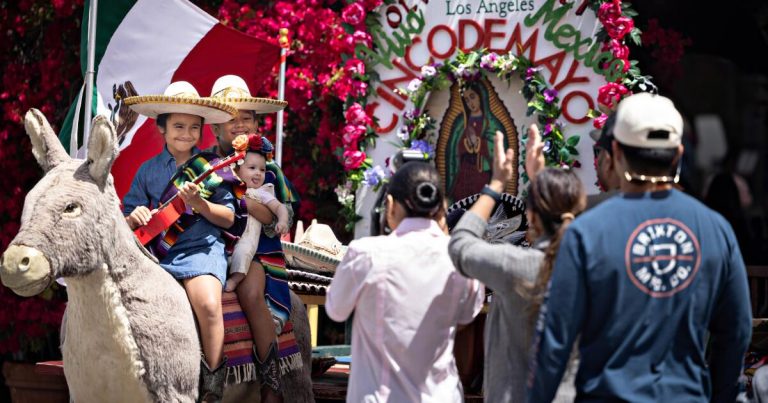 Olvera Street’s donkey may be forced to hit the road after eviction