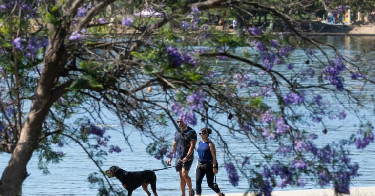 L.A. to open five cooling centers