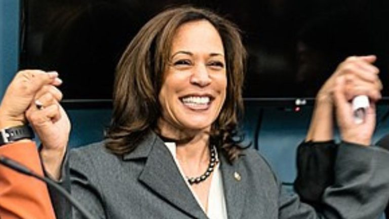 Poll: Majority Strongly Opposes Noncitizens Voting and Blame Kamala Harris for Border Crisis