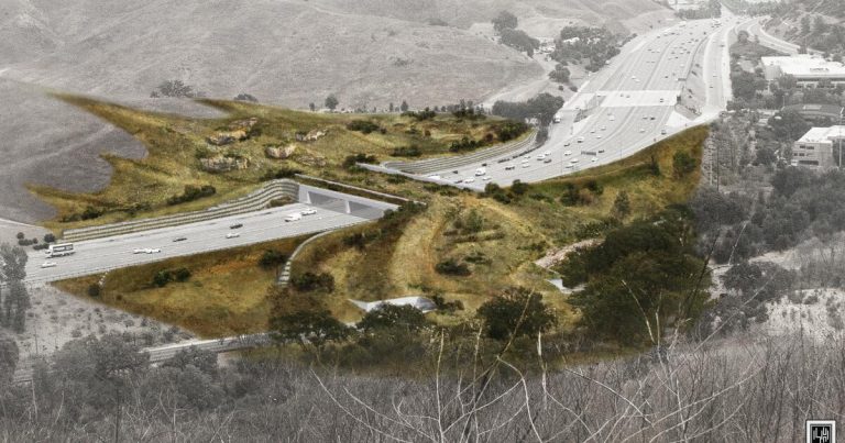 New video shows world’s largest wildlife crossing starting to take form