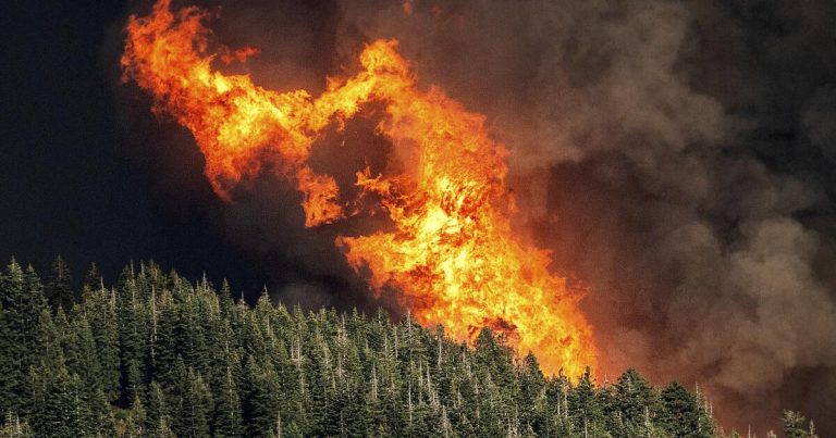 Opinion: I’m a pediatrician in Reno. I know climate change threatens children