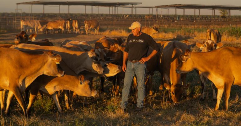 Sales of Raw Farm’s products suspended amid bird flu concerns