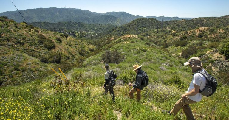 Battle over luxury Verdugo Mountains development spills into court