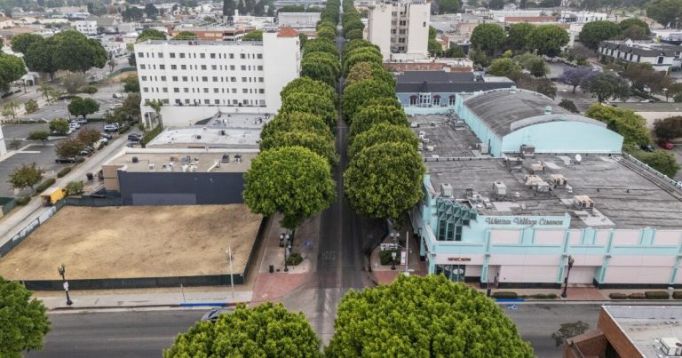 Whittier sued over plan to raze more than 100 trees