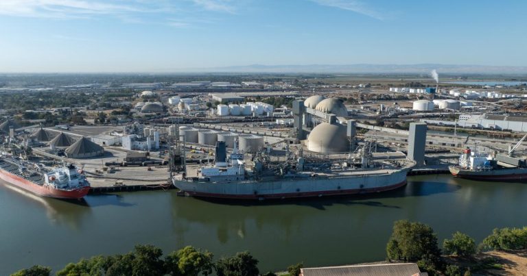 Wood biofuel project could worsen air quality, critics say