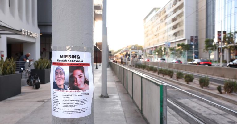 Hannah Kobayashi ‘intentionally’ missed connecting flight, police say