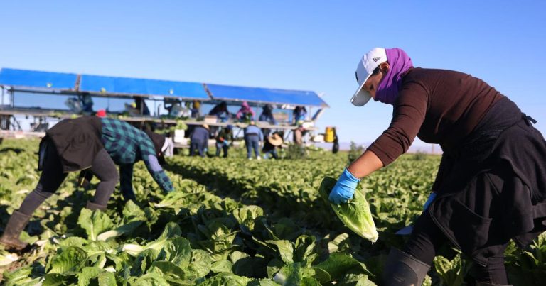 Trump’s deportations on a collision course with California’s economy