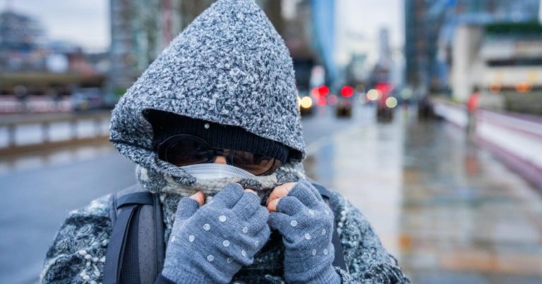 What to know about infectious diseases this holiday season