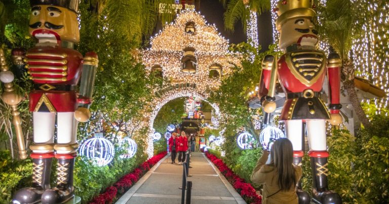 Visitors to Riverside’s Festival of Lights warned of parking scam