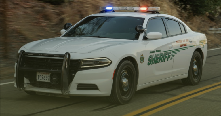29-year-old theft suspect tells police she’s 12. Story fools no one