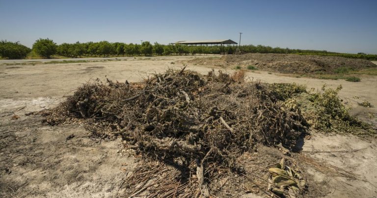 Near-complete ban on agricultural burning finally takes effect in San Joaquin Valley