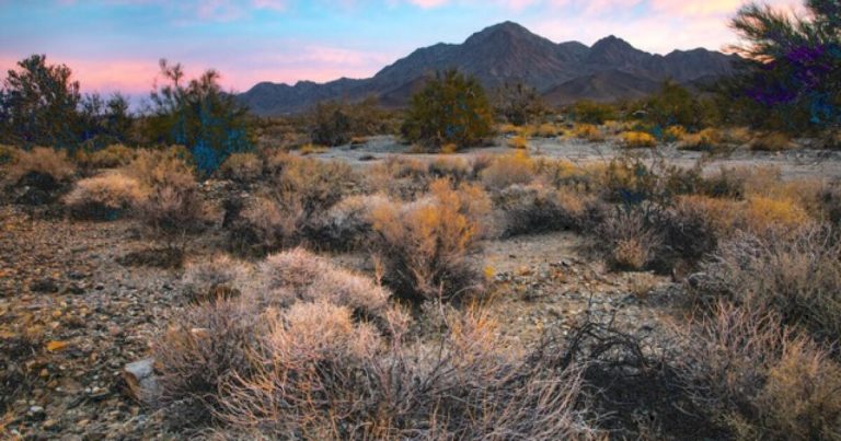 Biden to create 2 California national monuments protecting tribal land