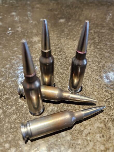 Canada Pursues NATO STANAG of 6.5 x 43mm