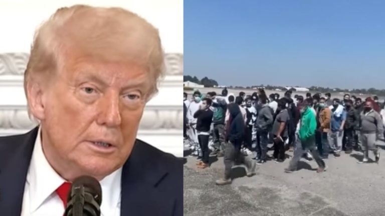 Trump Poised To Remove Illegal Aliens From The Census In A Major Blow To Blue States