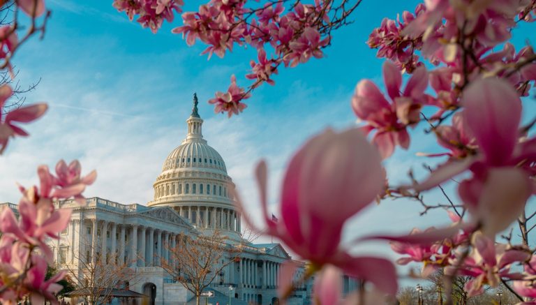 Democrat Resolution to Release Epstein Files Fails in Congress