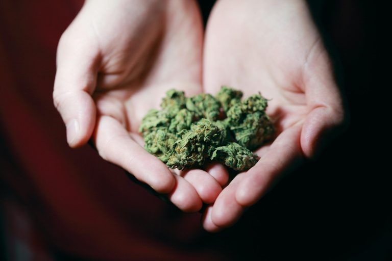 Local Officials Welcome Investment by Cannabis Brand in Middletown