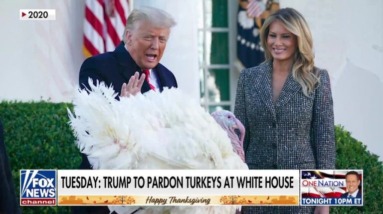 Trump kicks off Thanksgiving week with turkey pardon and Christmas tree arrival